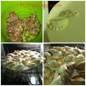 pot stickers process