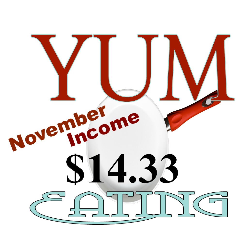 Monthly Income - november2013