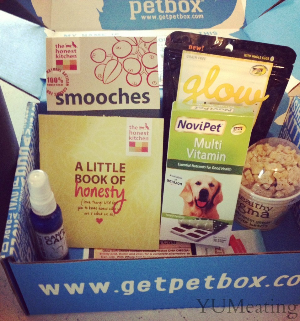 box full of pet goodies