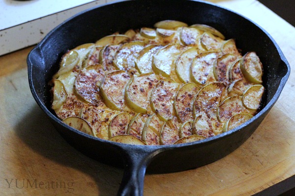 Dutch Apple Skillet Pie