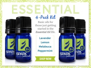 Essential4packBNR 300