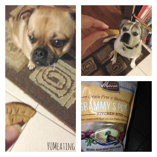 Paws Up for Grammy's Pot Pie | YUM eating