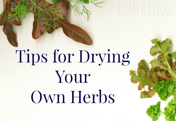 Tips for Drying Your Own Herbs | YUM eating
