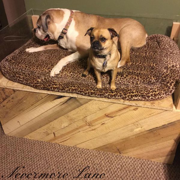 DIY Pallet Wood Dog Bed with Storage Nevermore Lane