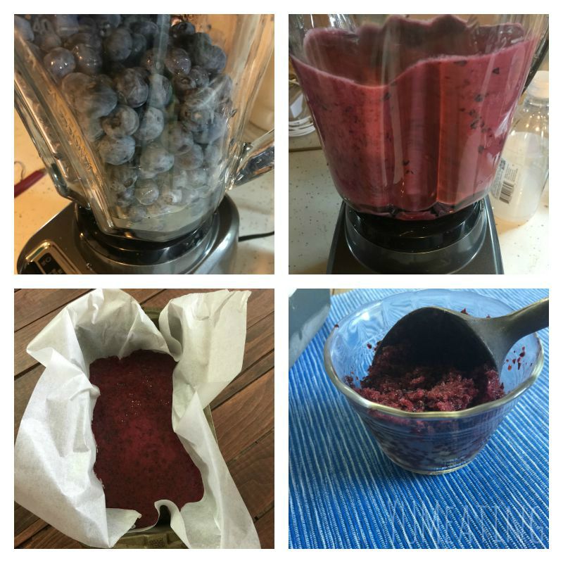 Blueberry Lemon Sorbet | YUM eating