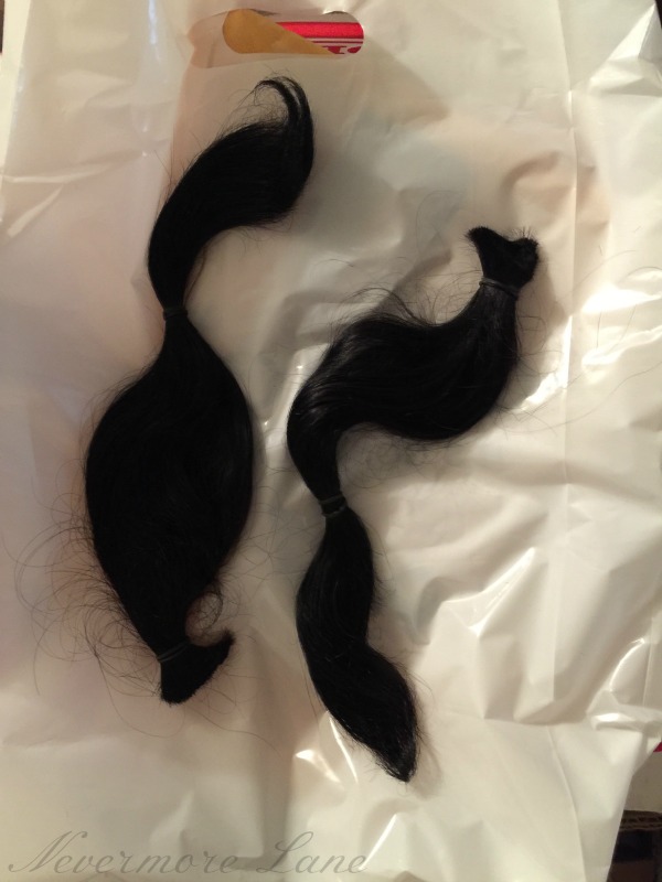 It's Not Just Hair : American Cancer Society Donation 2015 | Nevermore Lane 