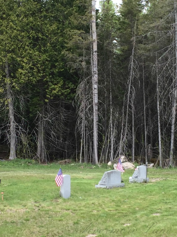 the cemetery woods