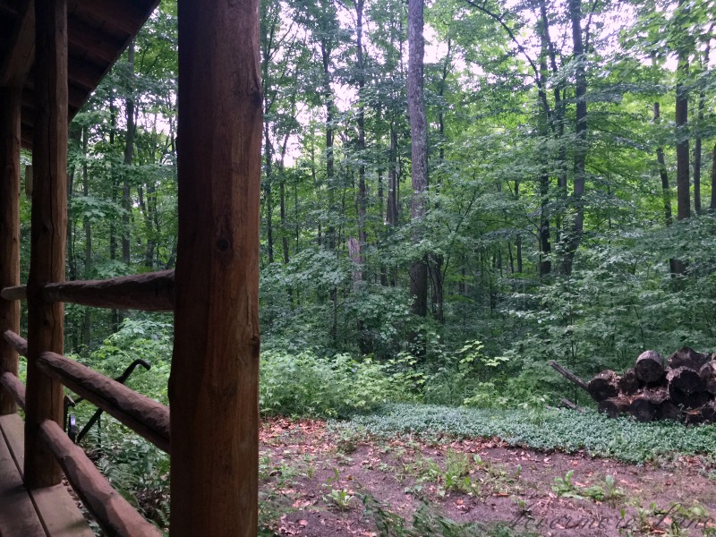 Weekend Getaway: Rustic Cabin Life {Bellaire, MI} | Nevermore Lane #travel #tinyhouse #cabin #nature #solitude #thankful 