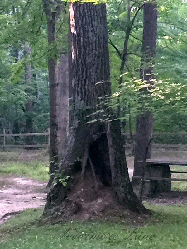 The Wabash River and Hanging Rock {Wabash, IN} | Nevermore Lane #travel 