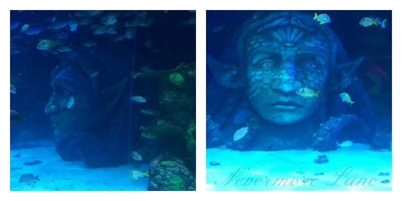 Underwater Wonderment at Sea Life Michigan {Auburn Hills, Michigan}