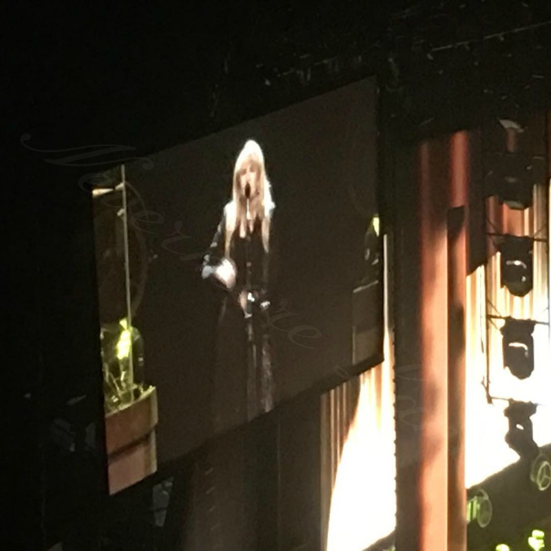 A Night With Stevie Nicks | Nevermore Lane 