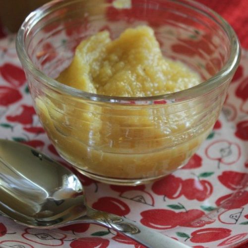 Canning homemade applesauce