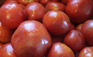 Canning Tomatoes: A Family Tradition