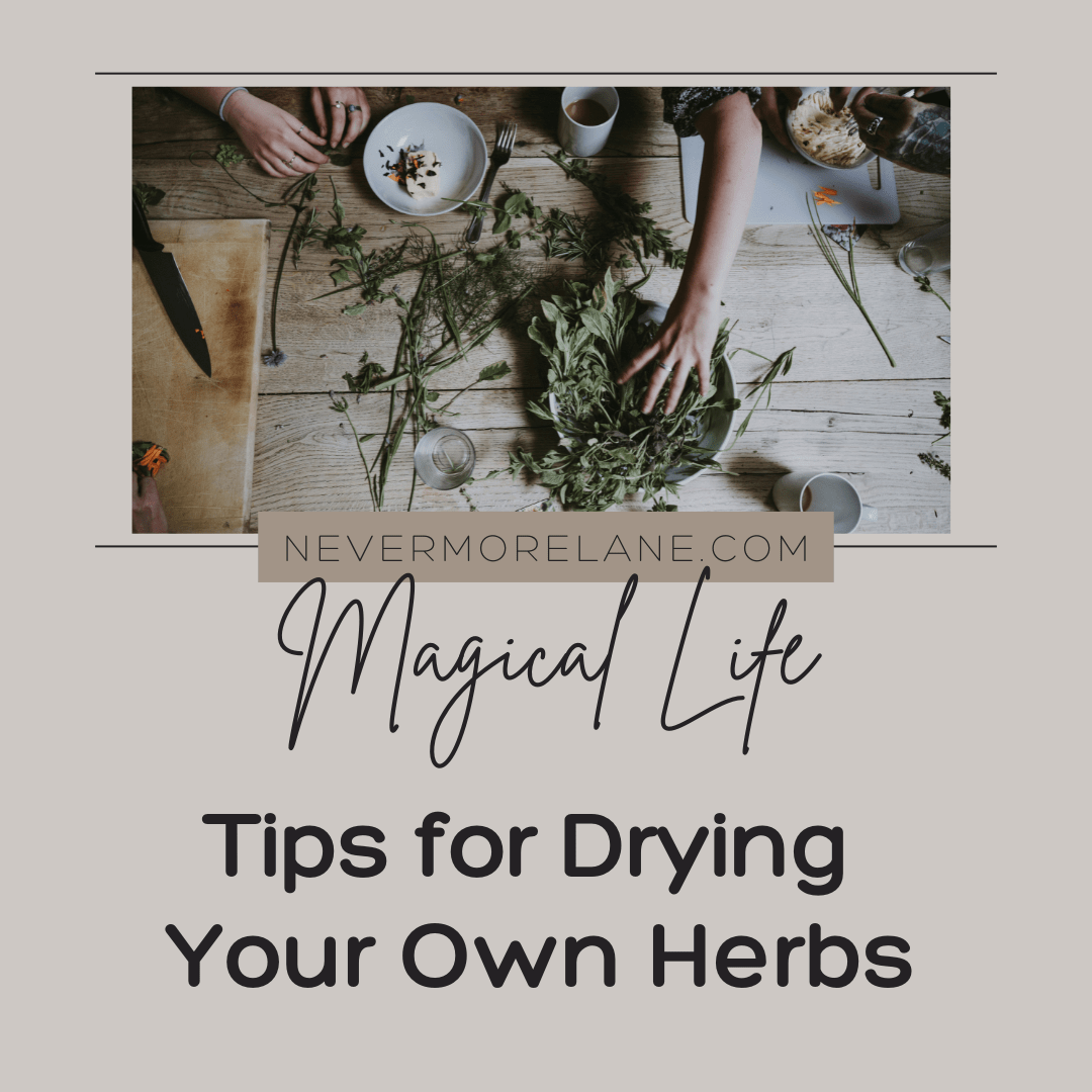 Tips for Drying Your Own Herbs