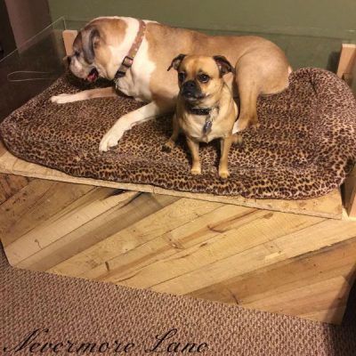 Pallet Wood Dog Bed with Storage #diy #upcycle #palletwood