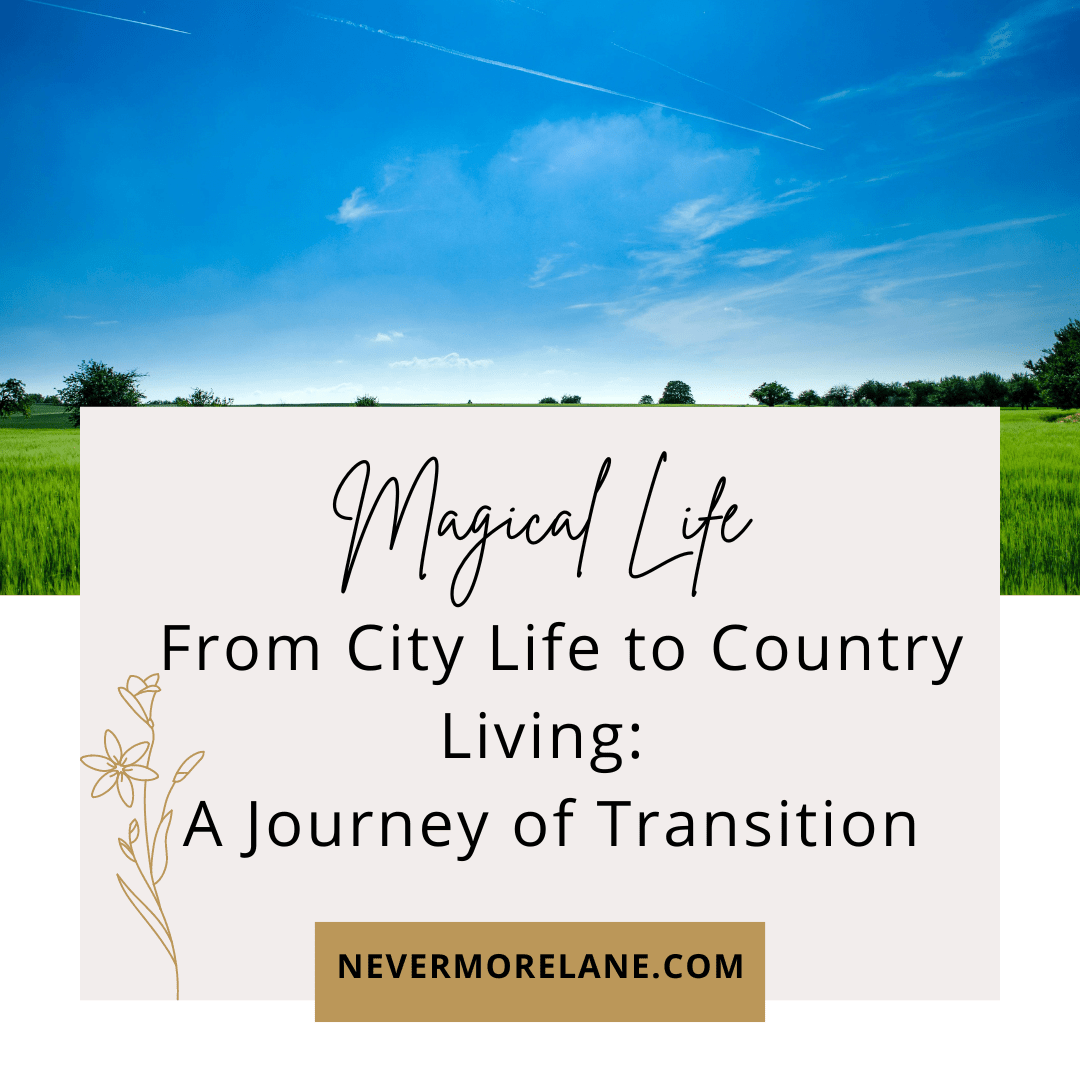 From City Life to Country Living: A Journey of Transition