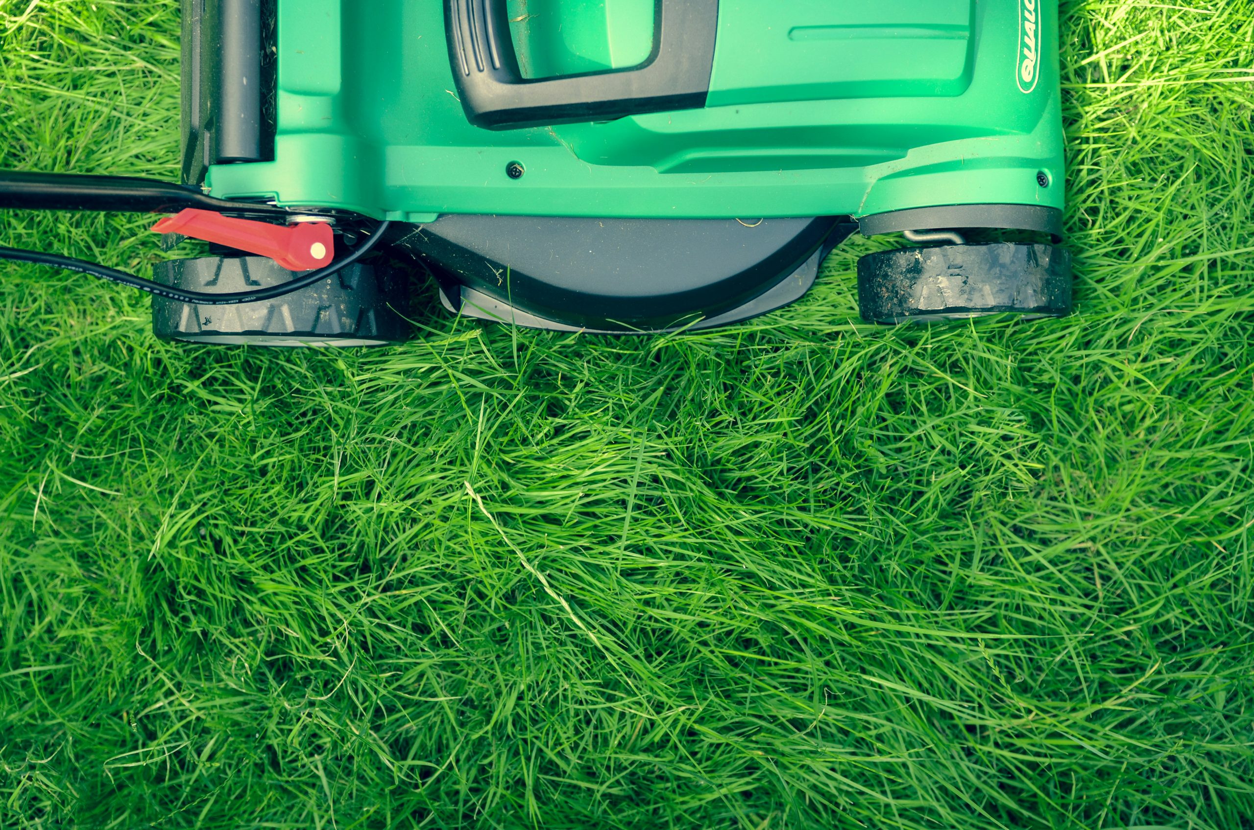 Lawn Care Advice That Will Change the Way You Maintain Your Grass
