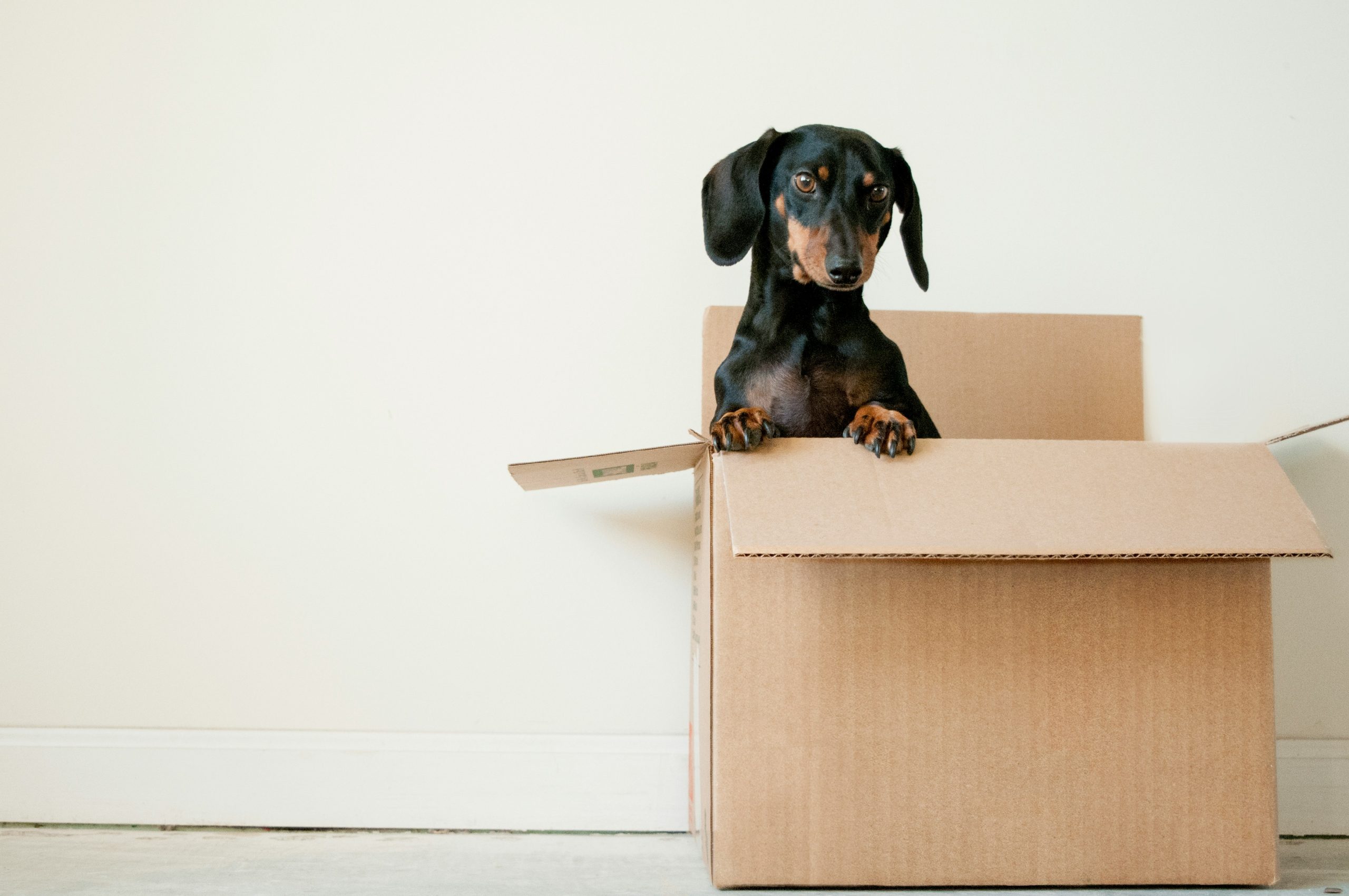 How Moving to a New Location Might Be Exactly What You Need Right Now