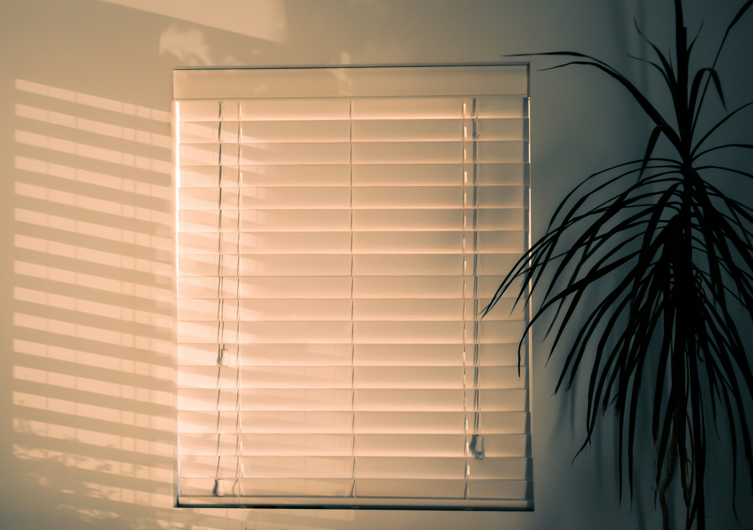 Transform Your Space: Custom Blinds for Privacy and Style