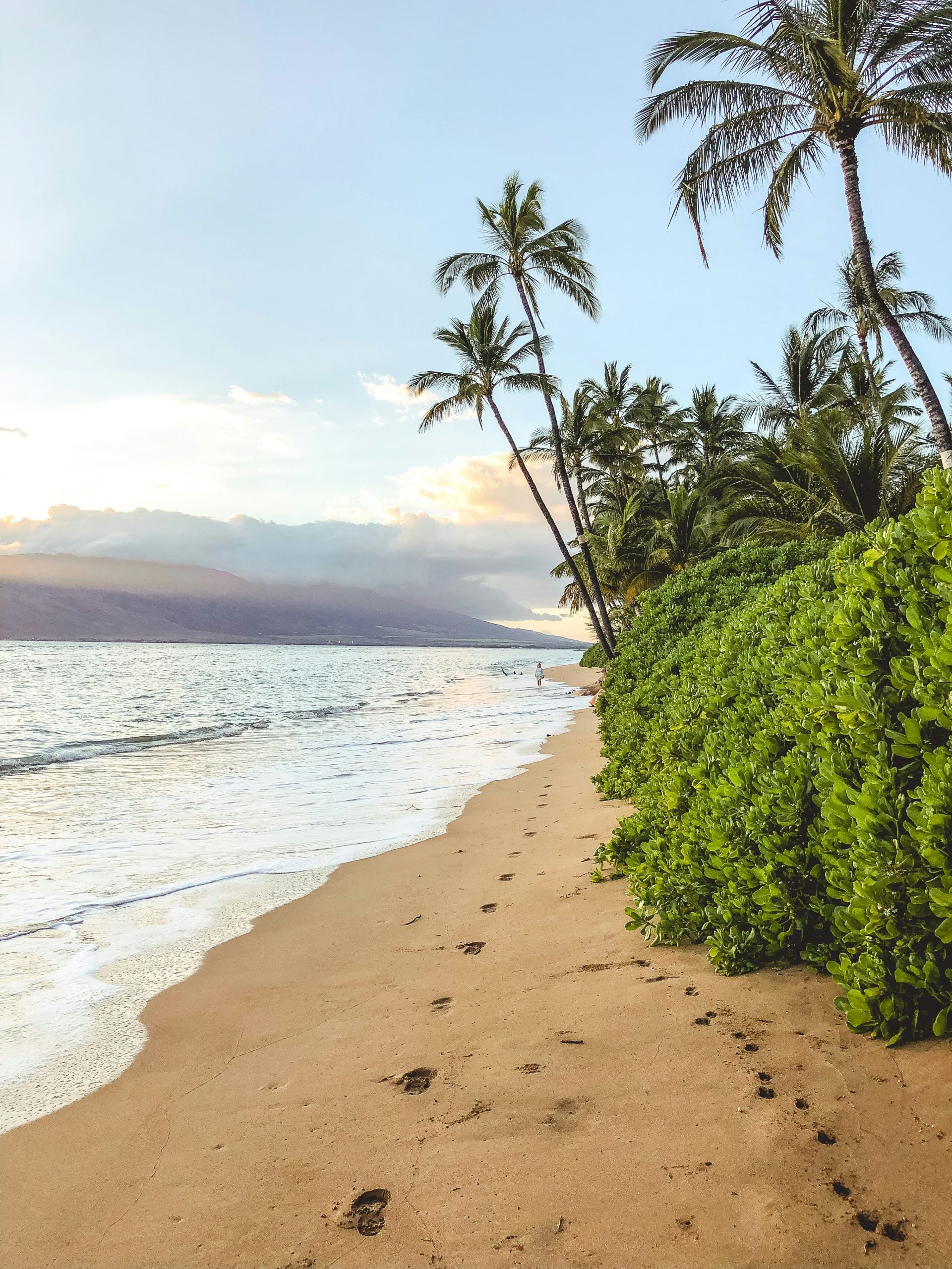 Road Tripping Maui with Camper Rentals: Tips & Guide