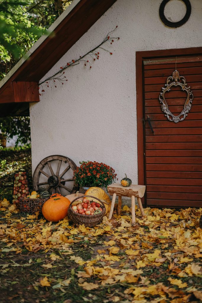 The Secret Nostalgia and Elegance of Shed Doors