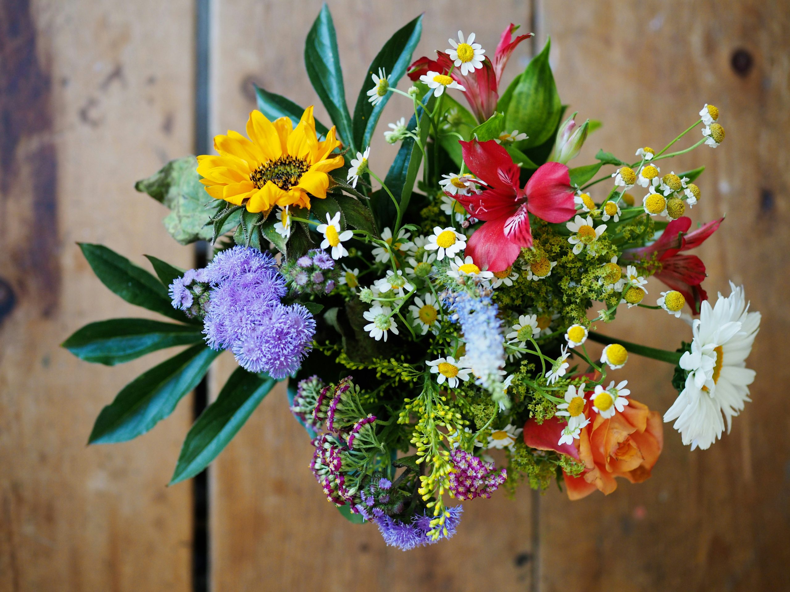 Why Floral Gifts Are the Ultimate Gesture of Appreciation