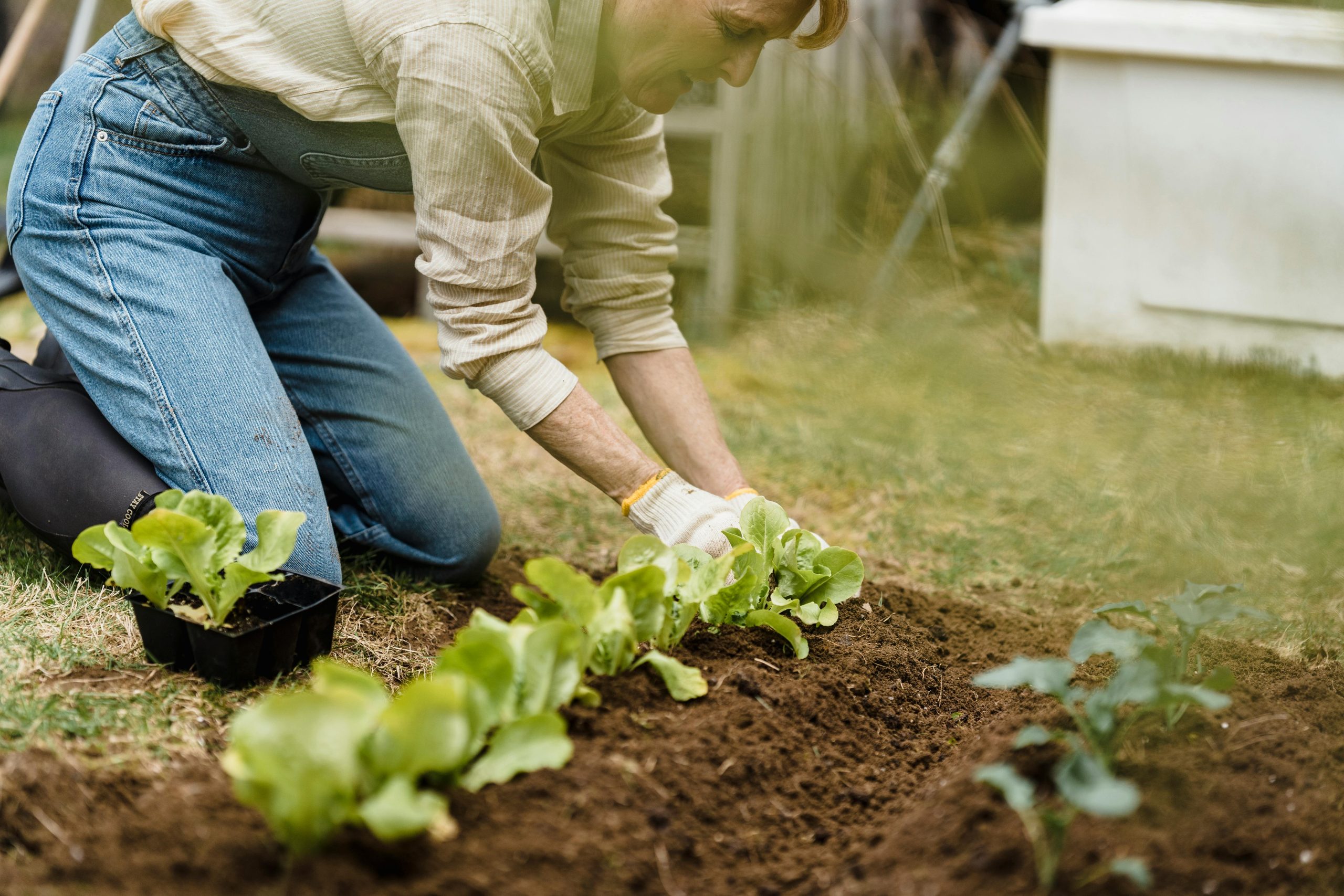 For the Love of Gardening: 5 Reasons to Embrace This Hobby