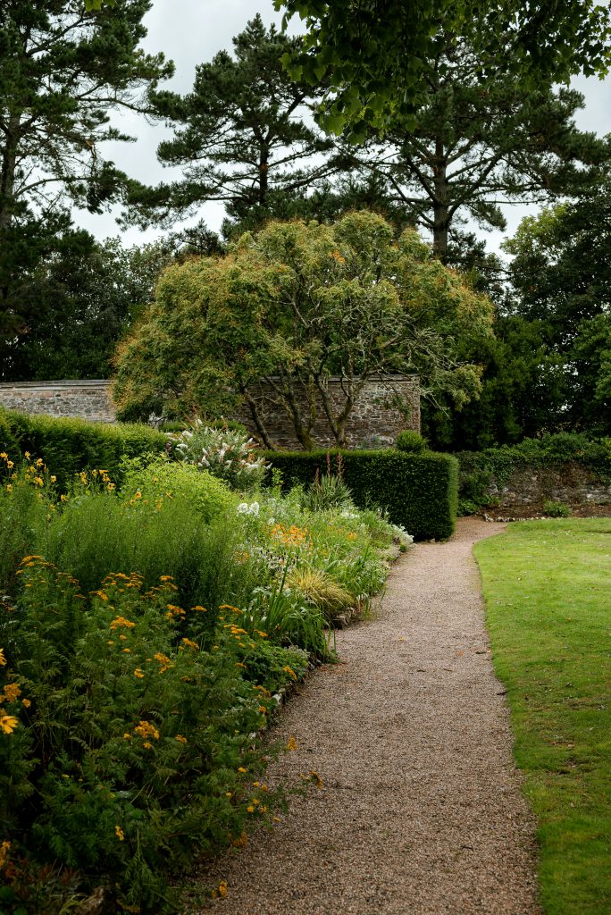 How to Save the Stories Growing in Your Lawn’s Oldest Plants