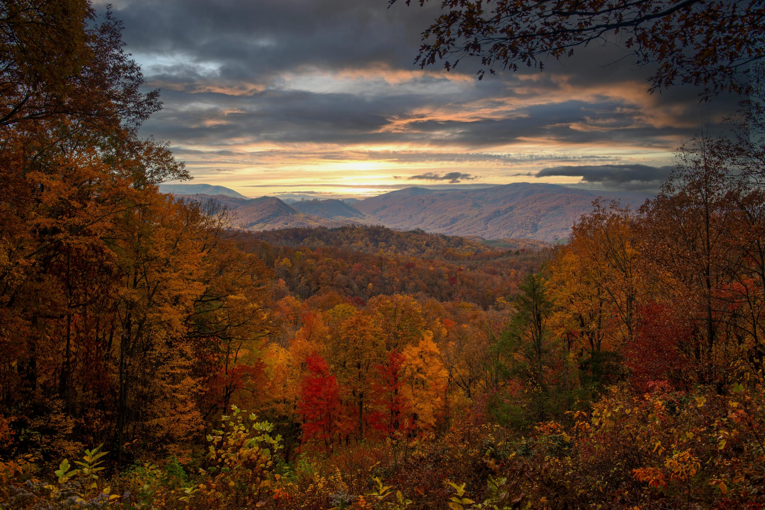 Weekend Vacation in Gatlinburg: A Guide for Families