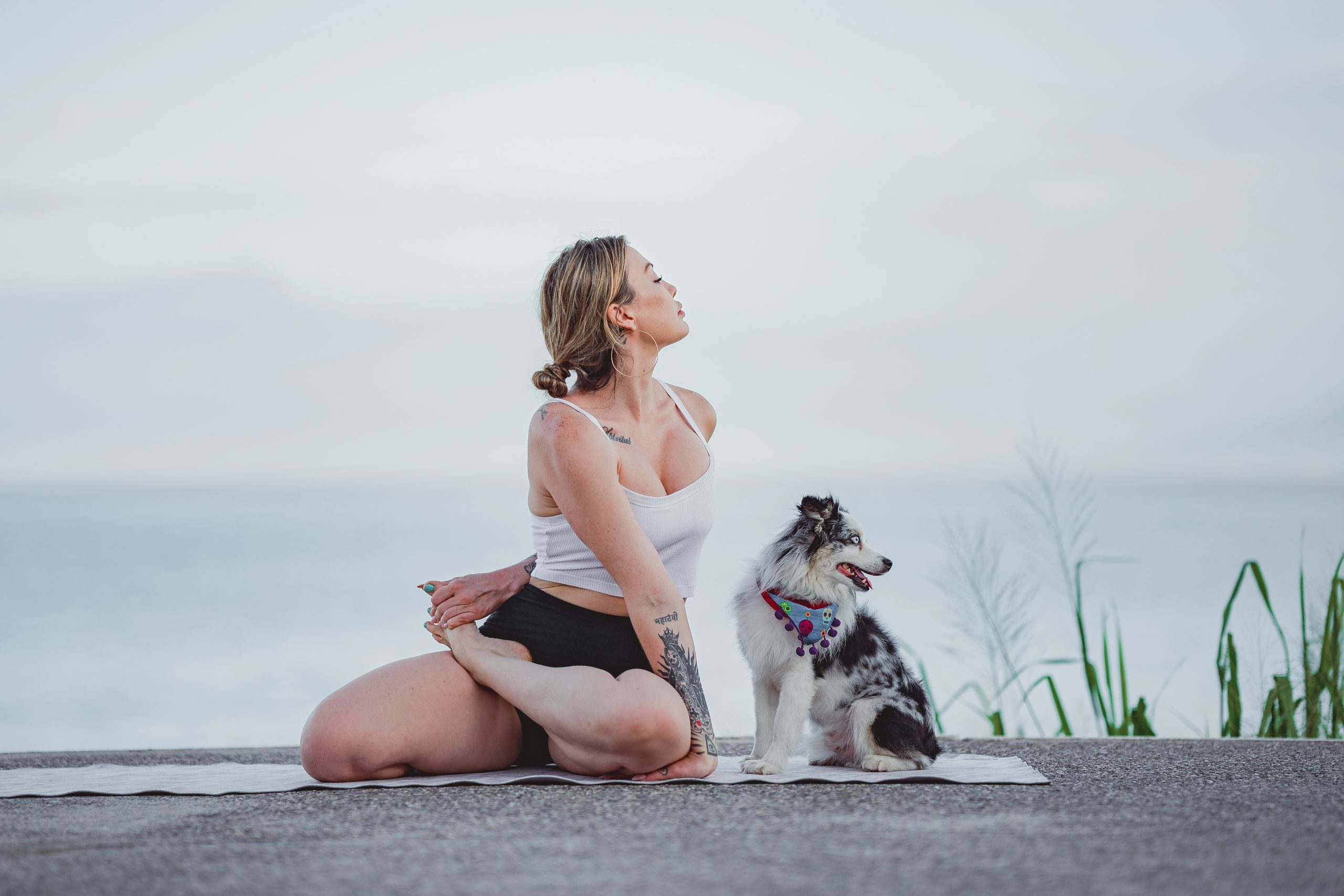 Inspiring Wellness Rituals for You and Your Four-Legged Companion