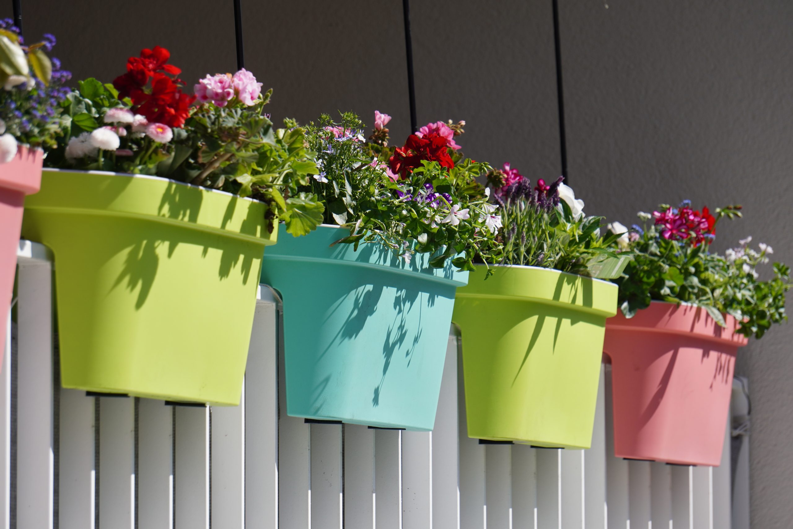 How To Install Window Flower Boxes for Apartment Living