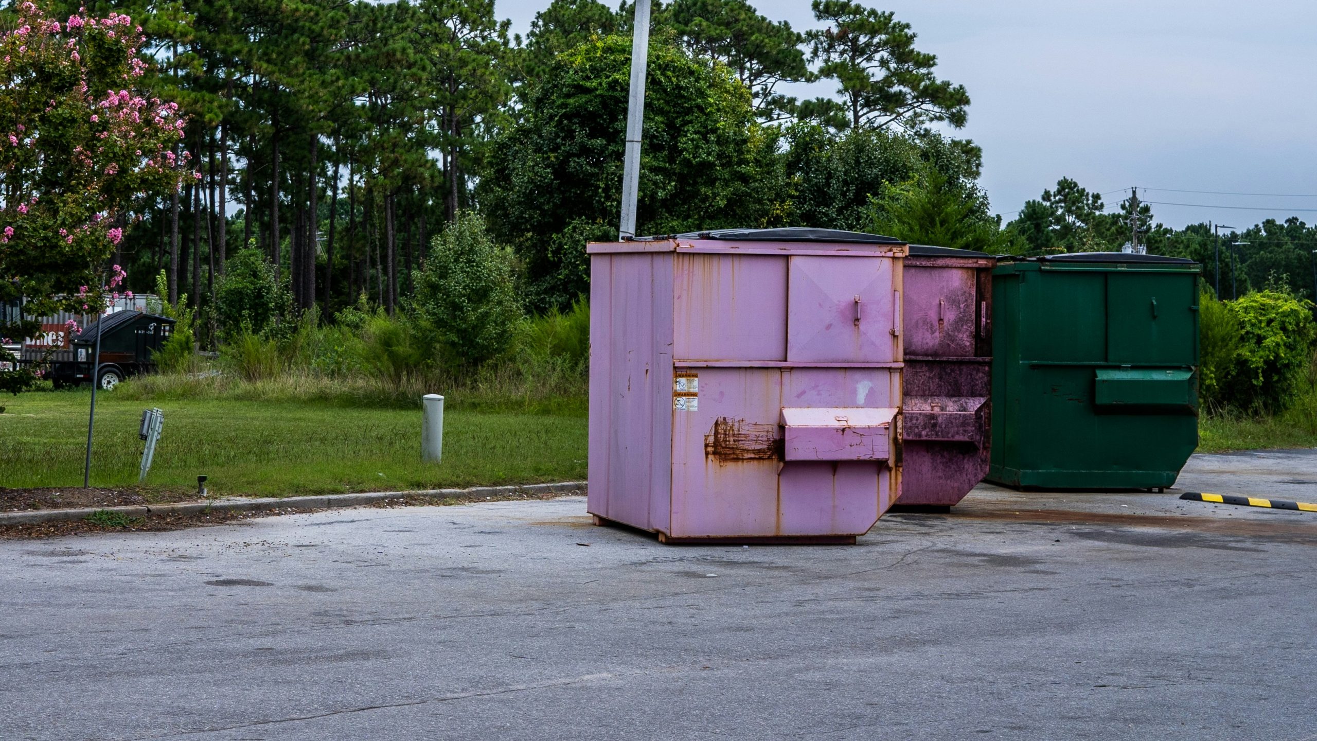 Seasonal Projects Made Easier with Flexible Dumpster Rental Services