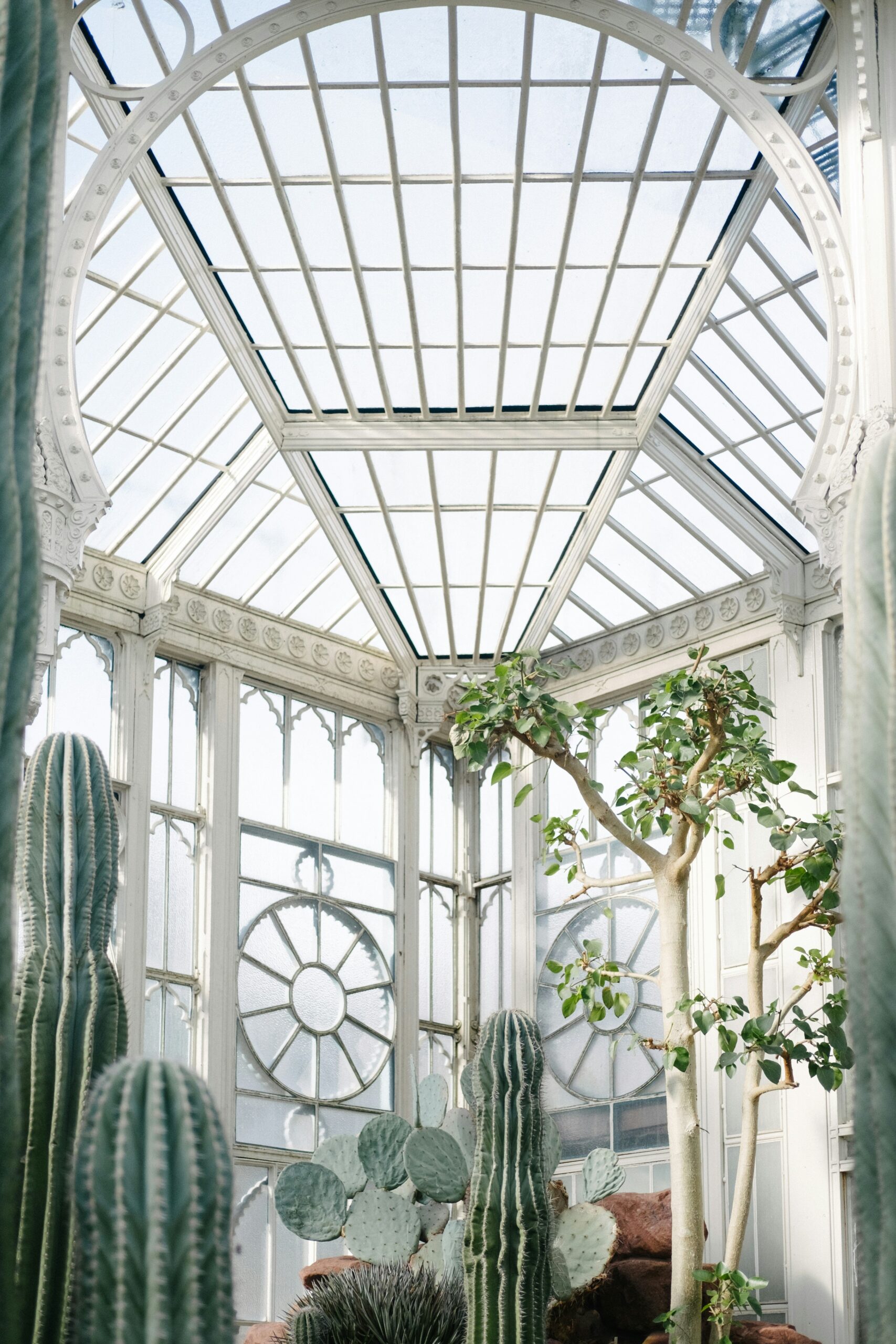 Your Own Year-Round Retreat: How Garden Rooms Can Transform Your Home