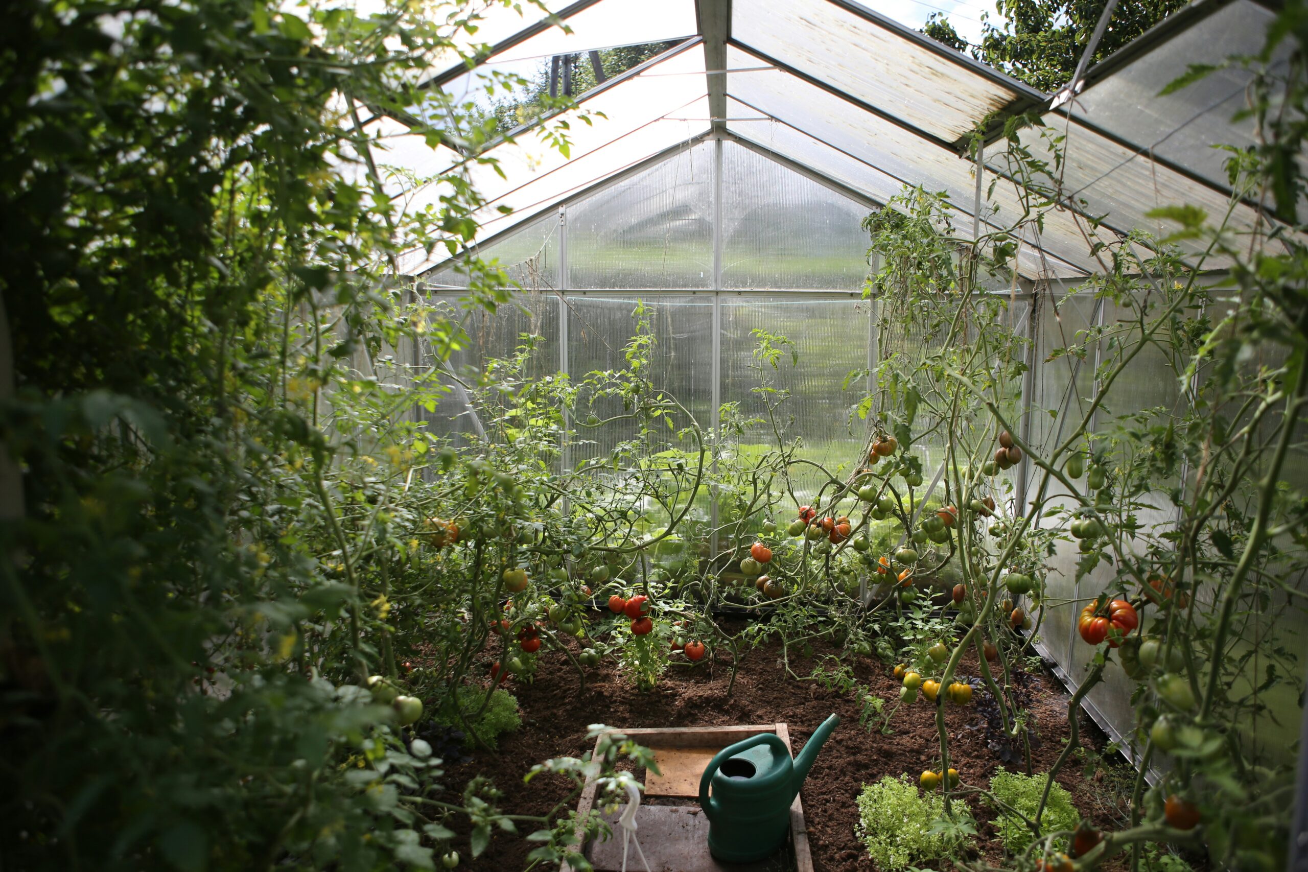 The Science Behind Why Gardening Fights Depression