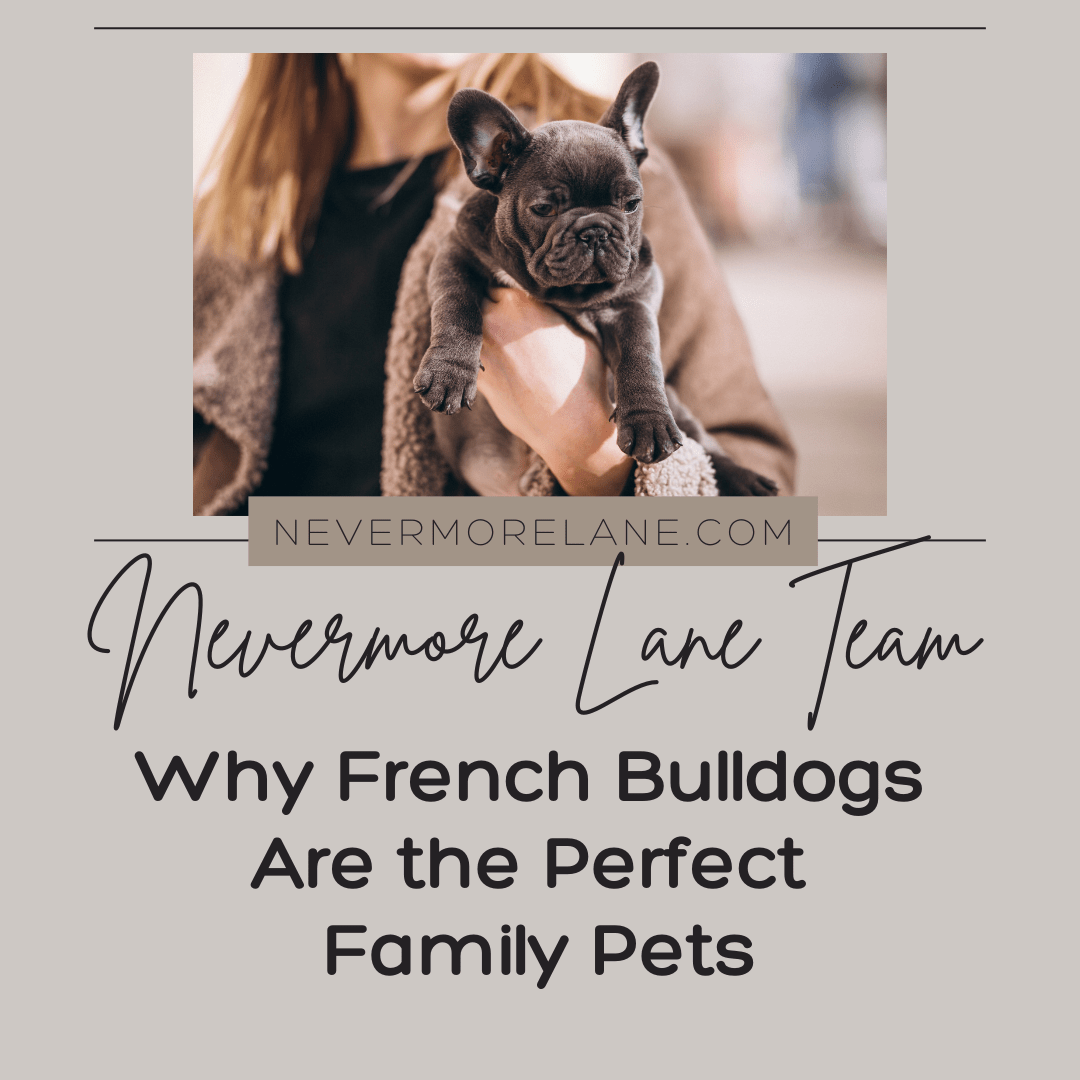 Why French Bulldogs Are the Perfect Family Pets