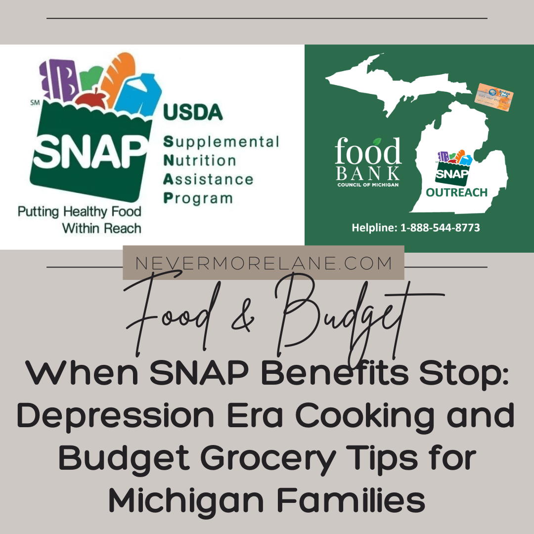 When SNAP Benefits Stop: Depression Era Cooking and Budget Grocery Tips for Michigan Families