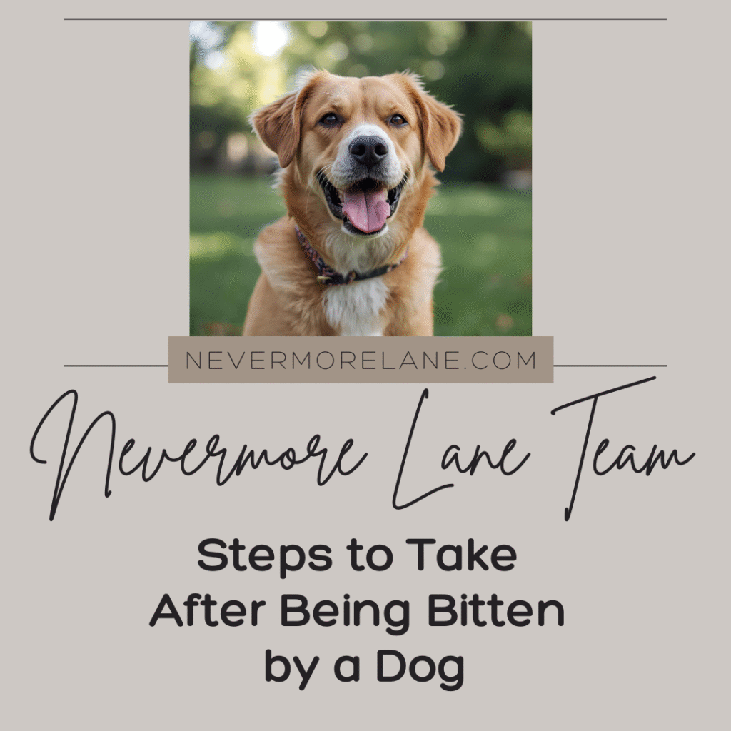 Steps to Take After Being Bitten by a Dog
