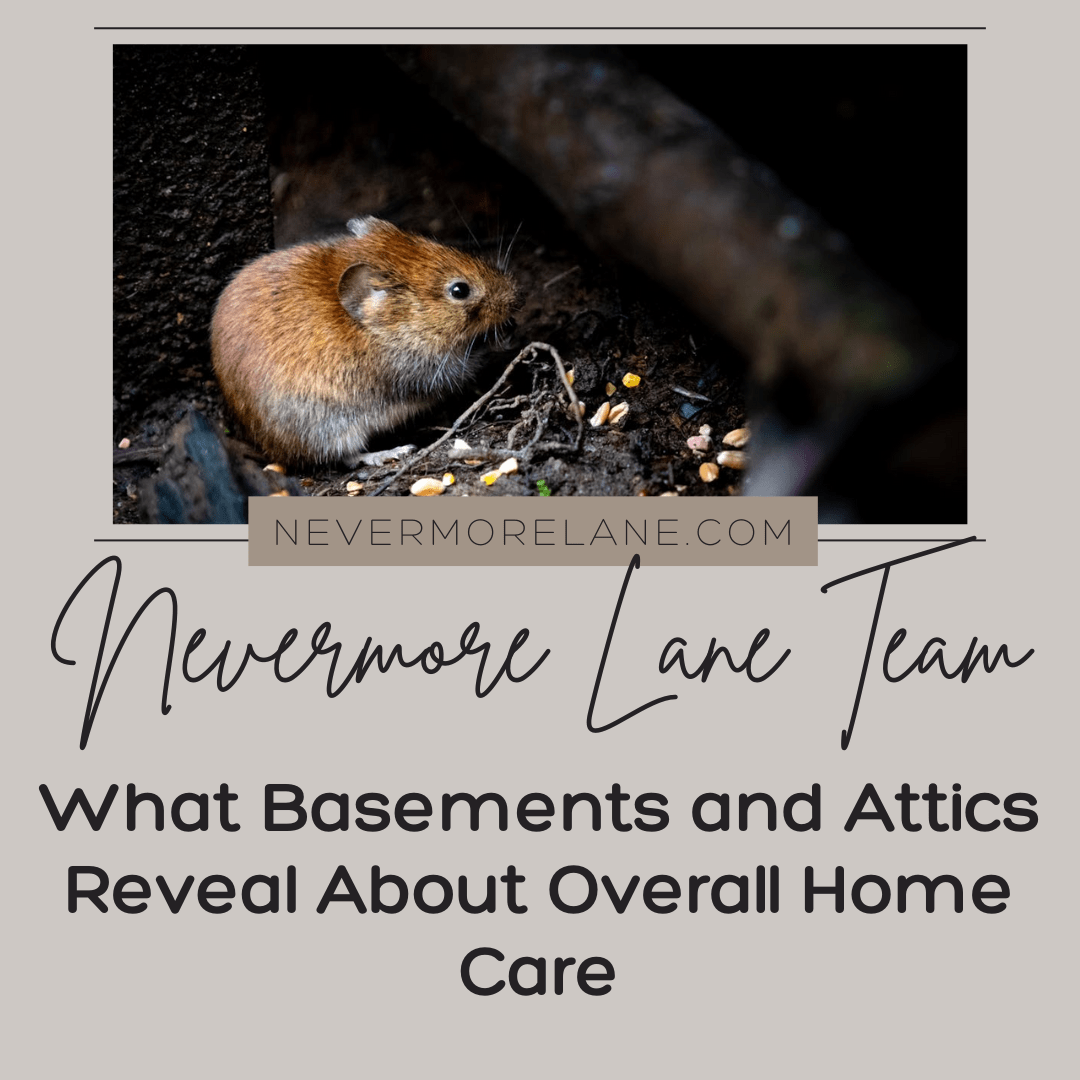 What Basements and Attics Reveal About Overall Home Care