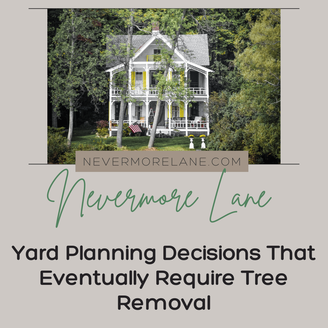Yard Planning Decisions That Eventually Require Tree Removal