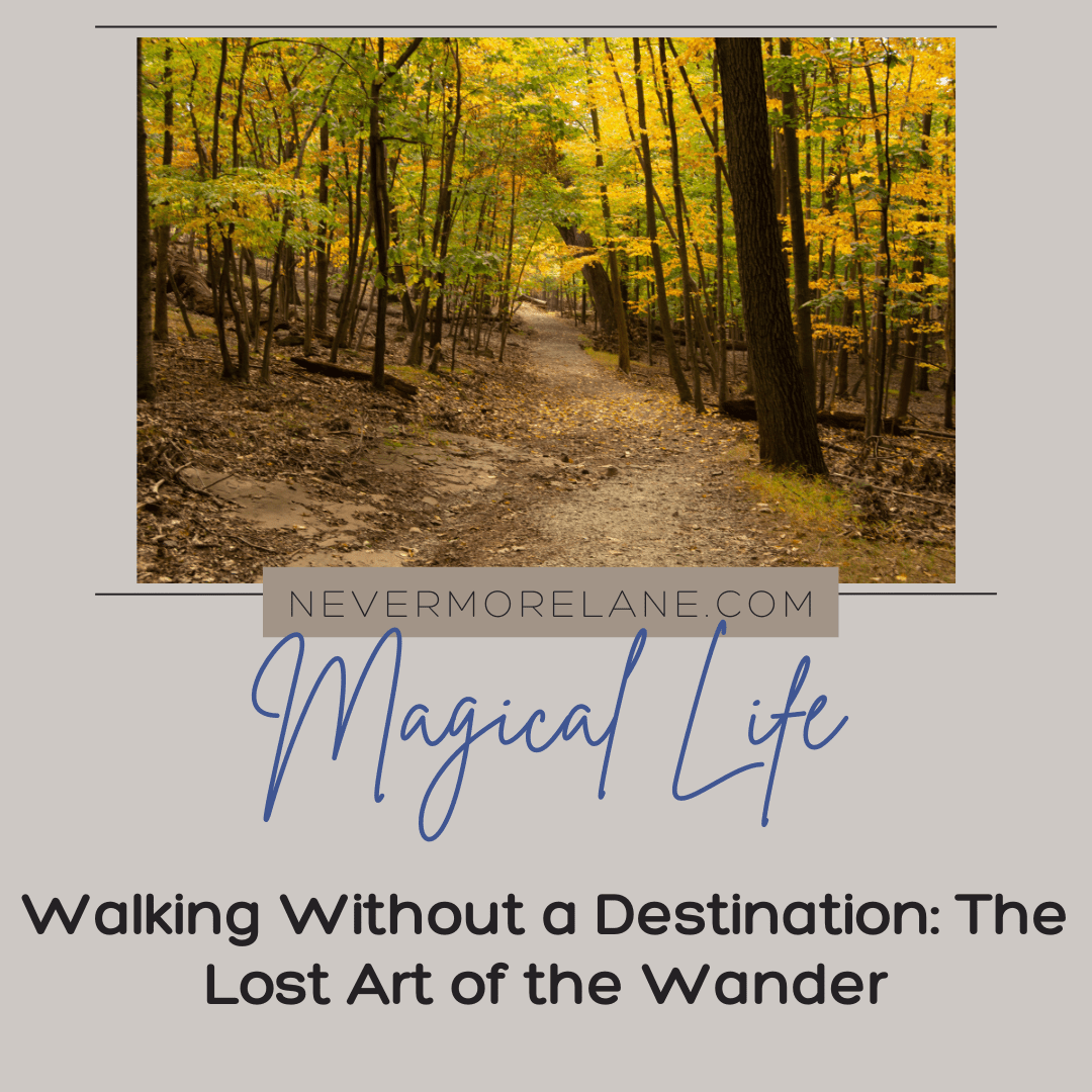 Walking Without a Destination: The Lost Art of the Wander