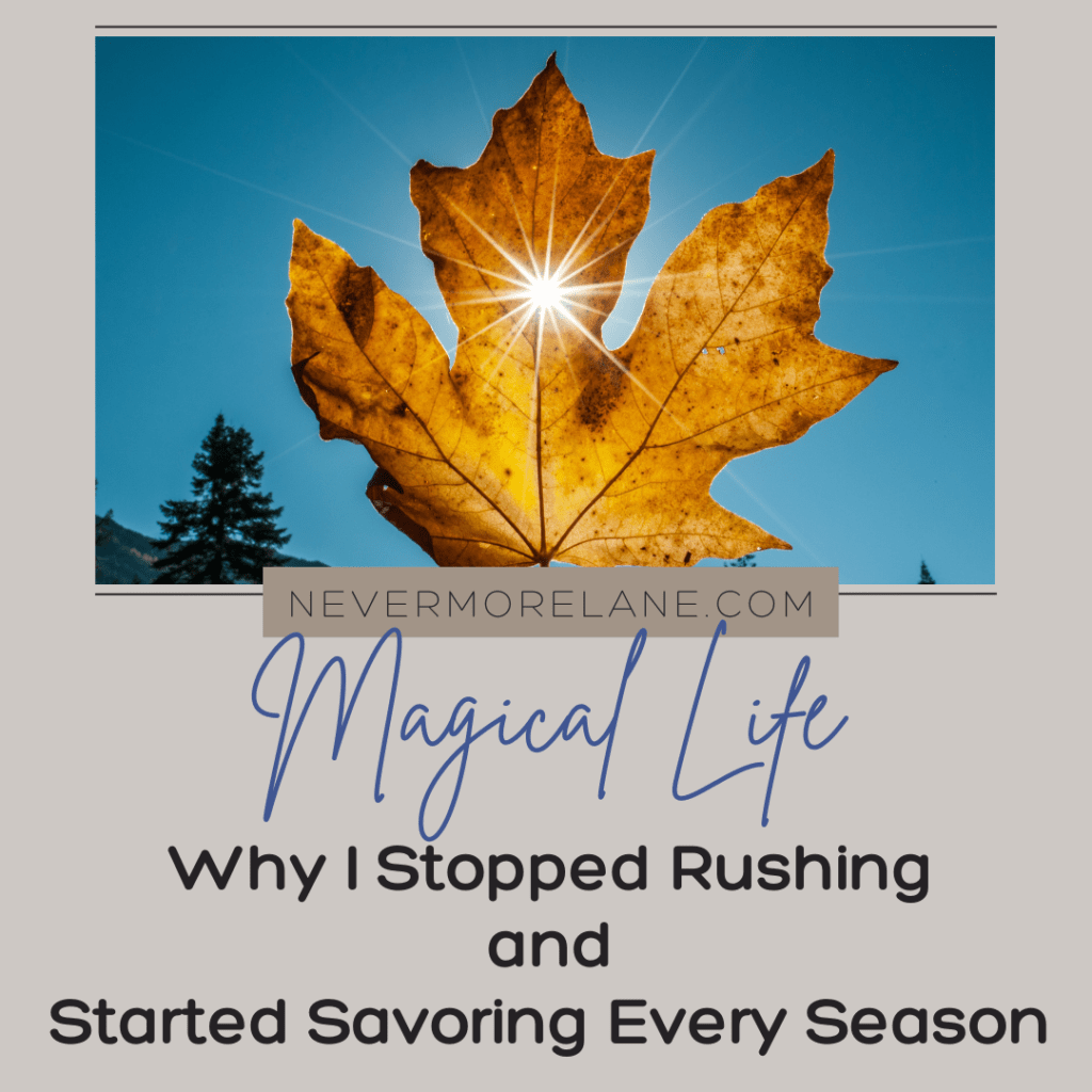 Why I Stopped Rushing and Started Savoring Every Season