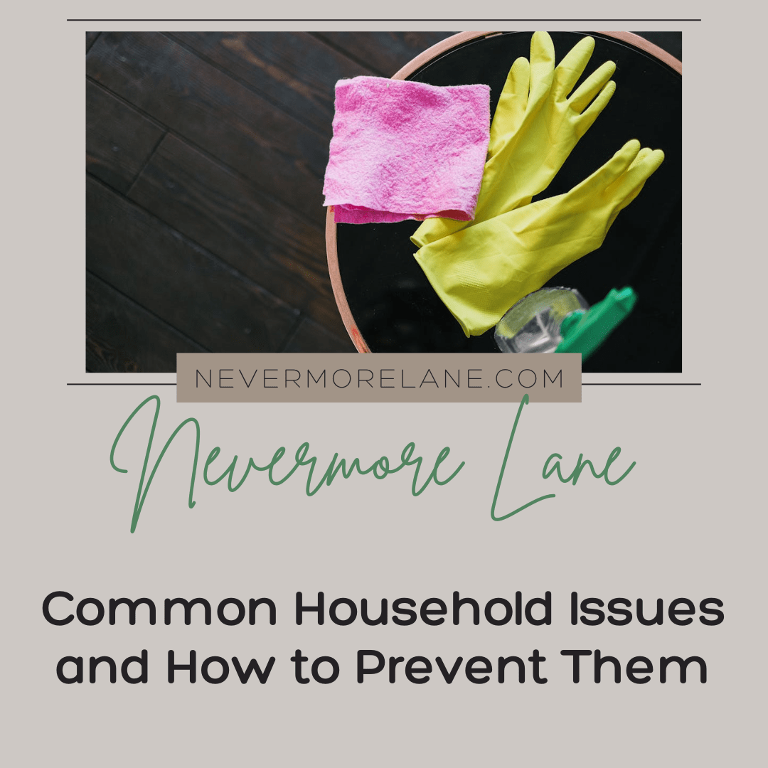 Common Household Issues and How to Prevent Them