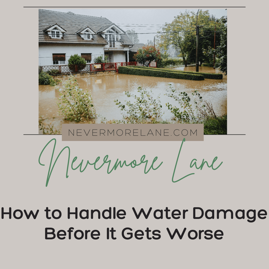 How to Handle Water Damage Before It Gets Worse