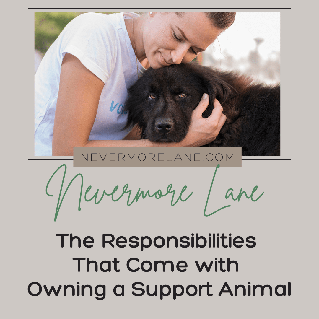 The Responsibilities That Come with Owning a Support Animal