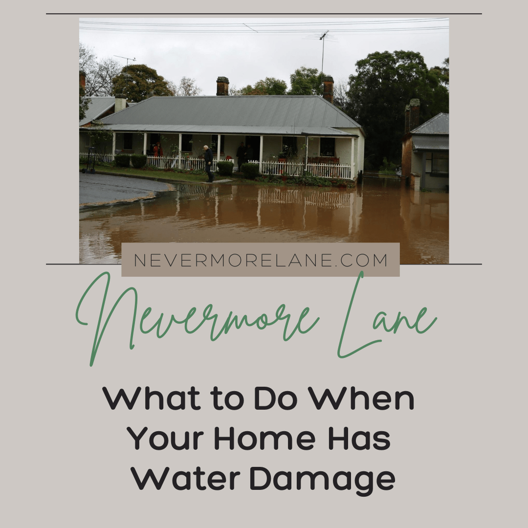 What to Do When Your Home Has Water Damage