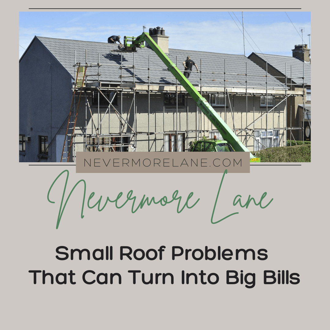 Small Roof Problems That Can Turn Into Big Bills