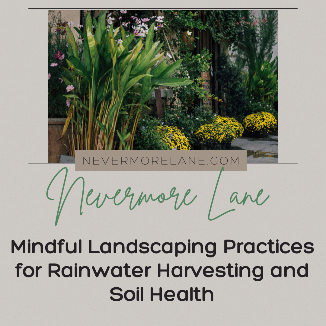Mindful Landscaping Practices for Rainwater Harvesting and Soil Health